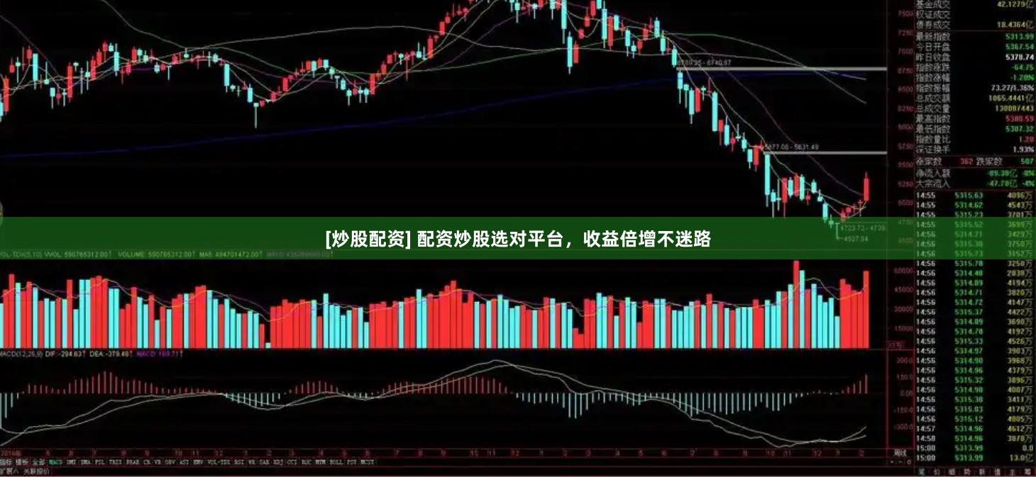 [炒股配资] 配资炒股选对平台，收益倍增不迷路